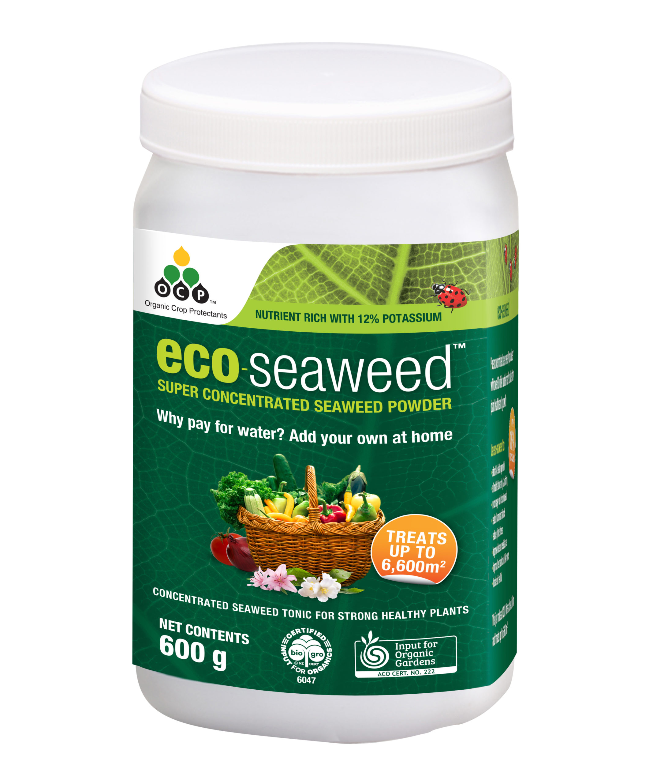 eco seaweed